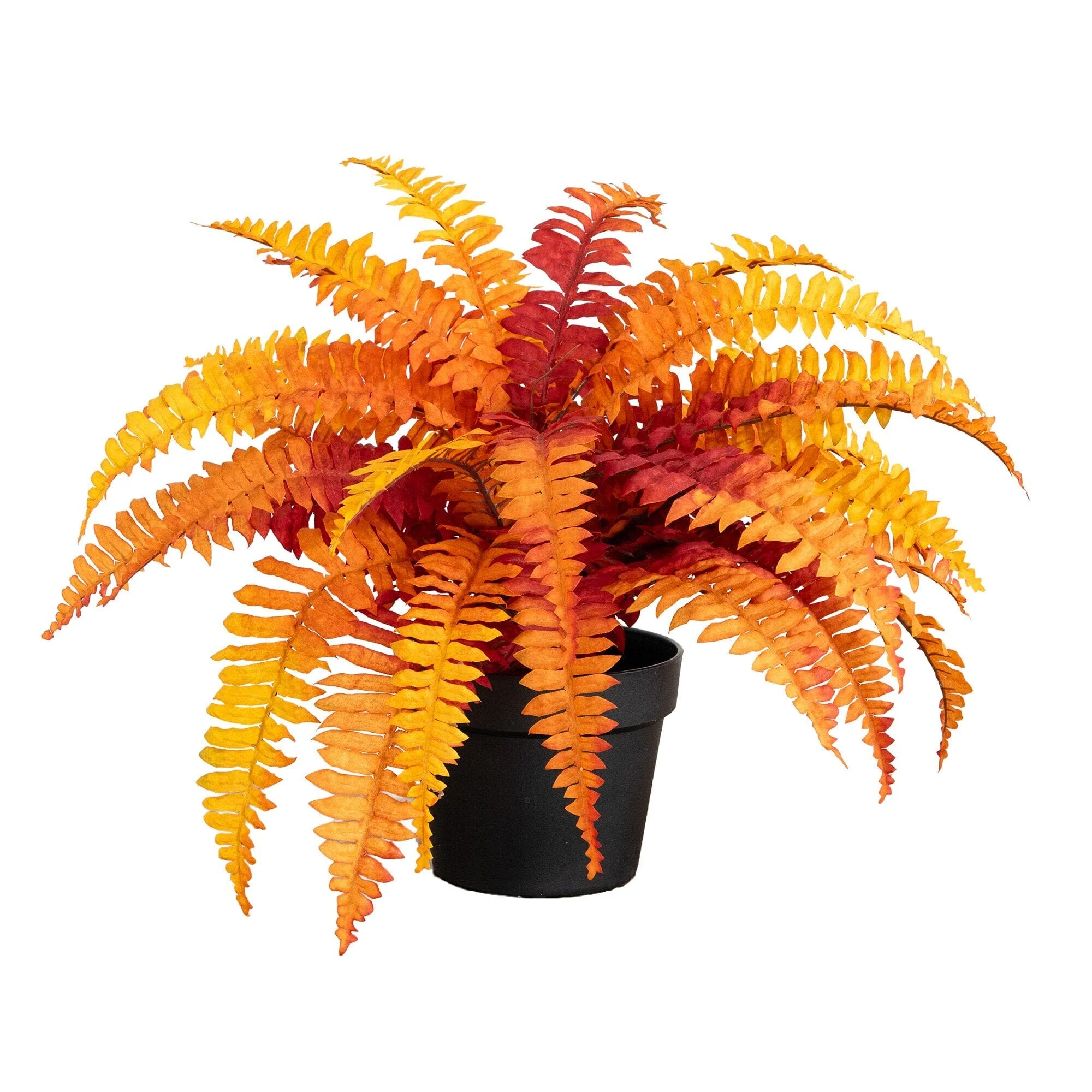 All Best Selling Products | Fake Plants